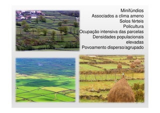 25
Minifúndios
Associados a clima ameno
Solos férteis
Policultura
Ocupação intensiva das parcelas
Densidades populacionais
elevadas
Povoamento disperso/agrupado
 