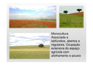 27
Monocultura
Associada a
latifúndios, abertos e
regulares. Ocupação
extensiva do espaço
agrícola com
afolhamento e pousio
 
