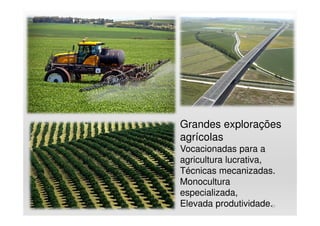 28
Grandes explorações
agrícolas
Vocacionadas para a
agricultura lucrativa,
Técnicas mecanizadas.
Monocultura
especializada,
Elevada produtividade.
 