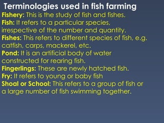 Fish Terminologies FISHERY( Morphology and the habitat).pptx