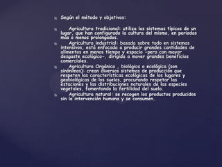    Según el método y objetivos:

       Agricultura tradicional: utiliza los sistemas típicos de un
    lugar, que han configurado la cultura del mismo, en periodos
    más o menos prolongados.
       Agricultura industrial: basada sobre todo en sistemas
    intensivos, está enfocada a producir grandes cantidades de
    alimentos en menos tiempo y espacio -pero con mayor
    desgaste ecológico-, dirigida a mover grandes beneficios
    comerciales.
       Agricultura Orgánica , biológica o ecológica (son
    sinónimos): crean diversos sistemas de producción que
    respeten las características ecológicas de los lugares y
    geobiológicas de los suelos, procurando respetar las
    estaciones y las distribuciones naturales de las especies
    vegetales, fomentando la fertilidad del suelo.
       Agricultura natural: se recogen los productos producidos
    sin la intervención humana y se consumen.
 
