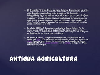    El Creciente Fértil de Oeste de Asia, Egipto e India fueron los sitios
        de la primera siembra y cosecha planificada, de plantas que habían
        sido recogidas previamente en la naturaleza. El desarrollo
        independiente de la agricultura se produjo en el norte y sur de China,
        en el Sahel de África, en Nueva Guinea y en varias regiones de las
        Américas. Los ocho cultivos llamados fundadores del Neolítico de la
        agricultura, fueron en primer lugar los cereales: trigo "espelta", el
        trigo "mocho", luego la cebada; las leguminosas: guisantes, lentejas,
        yeros, garbanzo; y el lino.

       En el año 7000 AC, la naciente agricultura llegó a Egipto. Por lo
        menos desde 7000 AC, en el subcontinente indio se cultivó trigo y
        cebada, como lo demuestran excavaciones arqueológicas en Mehrgarh
        en Baluchistán, en lo que hoy es Pakistán.

       En el año 6000 aC, la agricultura campesina se atrincheró en las
        orillas del Nilo. Esto debido al poco desarrollo aún de las técnicas de
        riego. Durante este tiempo, la agricultura se desarrollo de forma
        independiente en el Lejano Oriente, con el arroz, en lugar de trigo,
        como cultivo principal.




Antigua Agricultura
 