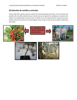 La construcción de materiales gráficos y la revolución industrial Profesor Luis Navia 
B) Selección de semillas y animales 
Hacia el siglo XVIII la gente comienza a apartar los mejores ejemplares del común, son los animales más grandes y las más bellas semillas las que se aíslan para que al siguiente se reproduzcan y mejoren así la especie. Por ejemplo existe el caso de suiza, en donde se hizo una selección de las mejores vacas para producir leche, de esa forma con los años llagaron hacer lo que son hoy en día, la mejores productoras del mundo. 
Se seleccionan los mejores especímenes de cada especie.  