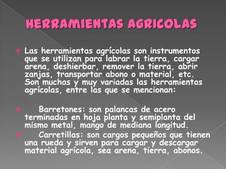    Las herramientas agrícolas son instrumentos
    que se utilizan para labrar la tierra, cargar
    arena, deshierbar, remover la tierra, abrir
    zanjas, transportar abono o material, etc.
    Son muchas y muy variadas las herramientas
    agrícolas, entre las que se mencionan:

      Barretones: son palancas de acero
    terminadas en hoja planta y semiplanta del
    mismo metal, mango de mediana longitud.
      Carretillas: son cargos pequeños que tienen
    una rueda y sirven para cargar y descargar
    material agrícola, sea arena, tierra, abonos.
 