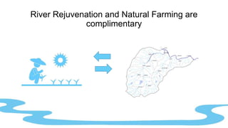 River Rejuvenation and Natural Farming are
complimentary
 