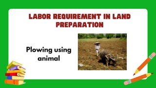 Plowing using
animal
 