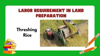 Threshing
Rice
 