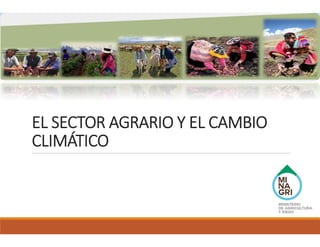 EL SECTOR AGRARIO Y EL CAMBIO 
CLIMÁTICO
 