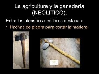 La agricultura y la ganadería
           (NEOLÍTICO).
Entre los utensilios neolíticos destacan:
• Hachas de piedra para cortar la madera.
 