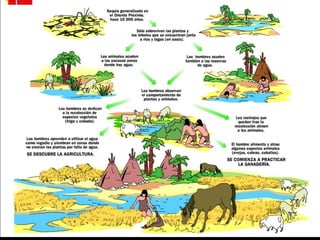 Cronología (NEOLÍTICO).
 