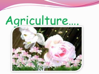 Agriculture….
 