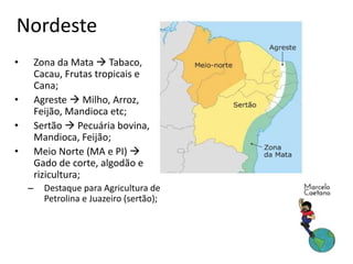 Nordeste
• Zona da Mata  Tabaco,
Cacau, Frutas tropicais e
Cana;
• Agreste  Milho, Arroz,
Feijão, Mandioca etc;
• Sertão  Pecuária bovina,
Mandioca, Feijão;
• Meio Norte (MA e PI) 
Gado de corte, algodão e
rizicultura;
– Destaque para Agricultura de
Petrolina e Juazeiro (sertão);
 