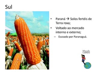 Sul
• Paraná  Solos fertéis de
Terra roxa;
• Voltado ao mercado
interno e externo;
– Escoado por Paranaguá.
 