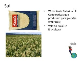 Sul
• W. de Santa Catarina 
Cooperativas que
produzem para grandes
empresas;
• Vale do Itajaí 
Rizicultura.
 
