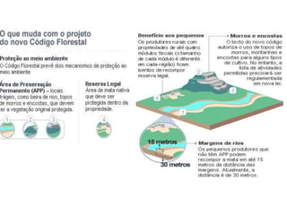 Agricultura brasil com logo