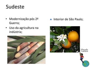 • Modernização pós 2ª
Guerra;
• Uso da agricultura na
indústria;
Sudeste
 Interior de São Paulo;
 