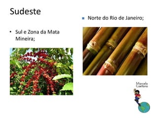 • Sul e Zona da Mata
Mineira;
Sudeste
 Norte do Rio de Janeiro;
 