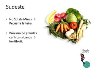 • No Sul de Minas 
Pecuária leiteira.
• Próximo de grandes
centros urbanos 
hortifruti.
Sudeste
 