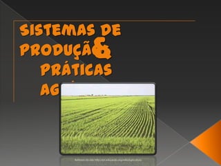Sistemas de Produção & Práticas Agrícolas Retirada do site: http://pt.wikipedia.org/wiki/Agricultura 
