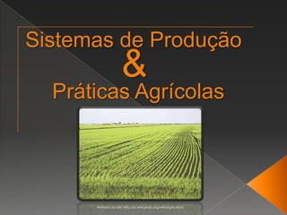 Sistemas de Produção & Práticas Agrícolas Retirada do site: http://pt.wikipedia.org/wiki/Agricultura 