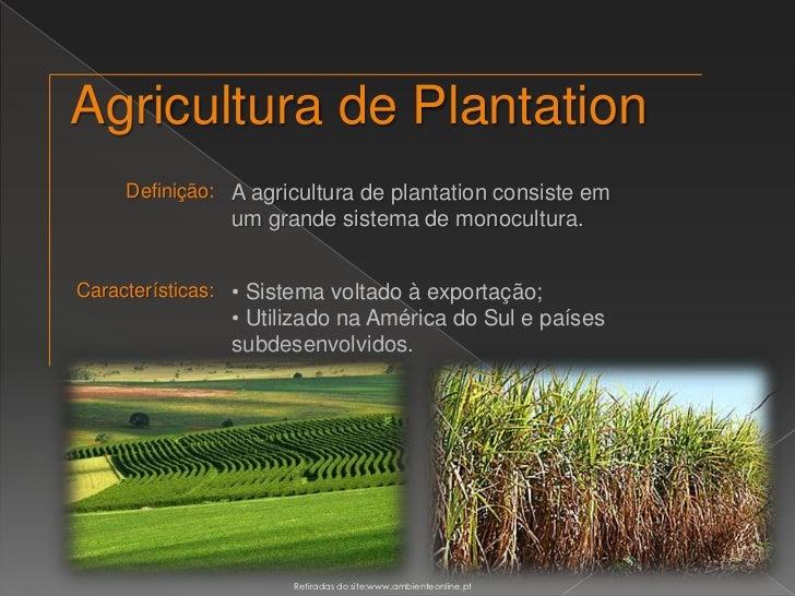 Sobre O Sistema Agrícola De Plantation Explique Sua Origem Histórica