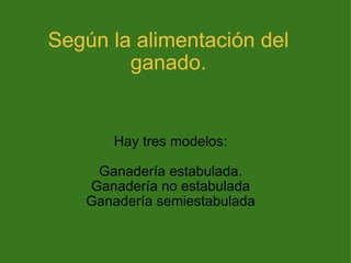 Según la alimentación del ganado. Hay tres modelos: Ganadería estabulada. Ganadería no estabulada Ganadería semiestabulada 