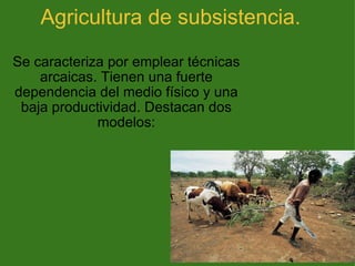 Agricultura de subsistencia. Se caracteriza por emplear técnicas arcaicas. Tienen una fuerte dependencia del medio físico y una baja productividad. Destacan dos modelos: 