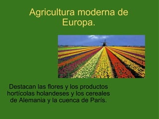 Agricultura moderna de Europa. Destacan las flores y los productos hortícolas holandeses y los cereales de Alemania y la cuenca de París. 
