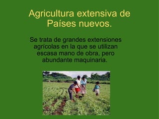 Agricultura extensiva de Países nuevos. Se trata de grandes extensiones agrícolas en la que se utilizan escasa mano de obra, pero abundante maquinaria.  