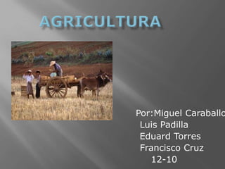 Agricultura Por:MiguelCaraballo Luis Padilla     Eduard Torres      Francisco Cruz 12-10 