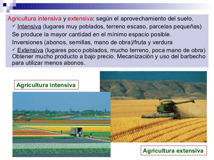 Diferencie Os Modelos Agrícolas Intensivos E Extensivos Exemplificando Os
