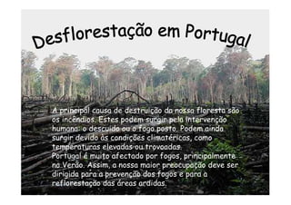 A principal causa de destruição da nossa floresta são
os incêndios. Estes podem surgir pela intervenção
humana: o descuido ou o fogo posto. Podem ainda
surgir devido às condições climatéricas, como
temperaturas elevadas ou trovoadas.
Portugal é muito afectado por fogos, principalmente
no Verão. Assim, a nossa maior preocupação deve ser
dirigida para a prevenção dos fogos e para a
reflorestação das áreas ardidas.
                 Escola Secundária de D. Duarte -       10
                       Coimbra
 