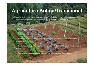 Agricultura Antiga/Tradicional
Cultivo de pequenas áreas, em regime de policultura, com utilização de
    técnicas que preservam a rentabilidade do solo tais como:

•     Pousio;

•     Rotação de culturas;

•     Aplicação de adubos orgânicos;

•    Associação de espécies com diferentes necessidades em elementos
    minerais;

•     Rega manual, muitas vezes com recurso a desvio de água dos rios ou a
    poços;

•     Trabalho essencialmente manual ou com a ajuda de animais.

                          Escola Secundária de D. Duarte -                   3
                                     Coimbra
 