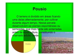 Pousio
   O terreno é dividido em áreas ficando
uma delas alternadamente, por cultivar
durante algum tempo. Nessa parcela
desenvolvem-se plantas espontâneas ou
semeadas, que mais tarde são enterradas
antes de nova cultura, constituindo o
chamado adubo verde.




              Escola Secundária de D. Duarte -   4
                         Coimbra
 