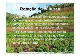 Rotação de culturas
  O terreno é dividido em diversas áreas
de modo que em cada área todas as
parcelas sejam cultivadas com diferentes
espécies previamente seleccionadas.
  Ex: Um cereal, uma planta de cultura
de inverno e uma leguminosa que fixe o
azoto e que é aproveita posteriormente
como adubo verde.

            Escola Secundária de D. Duarte -   5
                       Coimbra
 