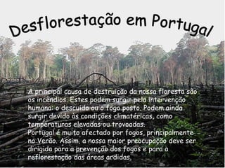 A principal causa de destruição da nossa floresta são os incêndios. Estes podem surgir pela intervenção humana: o descuido ou o fogo posto. Podem ainda surgir devido às condições climatéricas, como temperaturas elevadas ou trovoadas. Portugal é muito afectado por fogos, principalmente no Verão. Assim, a nossa maior preocupação deve ser dirigida para a prevenção dos fogos e para a reflorestação das áreas ardidas. Desflorestação em Portugal 