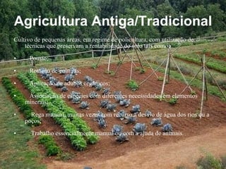 Agricultura Antiga/Tradicional Cultivo de pequenas áreas, em regime de policultura, com utilização de técnicas que preservam a rentabilidade do solo tais como: Pousio; Rotação de culturas; Aplicação de adubos orgânicos; Associação de espécies com diferentes necessidades em elementos minerais; Rega manual, muitas vezes com recurso a desvio de água dos rios ou a poços; Trabalho essencialmente manual ou com a ajuda de animais. 