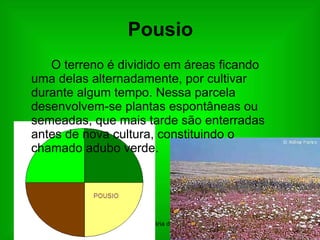 Pousio O terreno é dividido em áreas ficando uma delas alternadamente, por cultivar durante algum tempo. Nessa parcela desenvolvem-se plantas espontâneas ou semeadas, que mais tarde são enterradas antes de nova cultura, constituindo o chamado adubo verde. 
