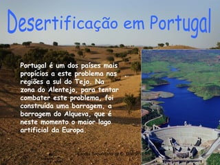Portugal é um dos países mais propícios a este problema nas regiões a sul do Tejo. Na zona do Alentejo, para tentar combater este problema, foi construída uma barragem, a barragem do Alqueva, que é neste momento o maior lago artificial da Europa. Desertificação em Portugal 