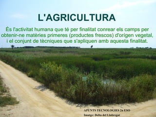 L'AGRICULTURA És l'activitat humana que té per finalitat conrear els camps per obtenir-ne matèries primeres (productes frescos) d'orígen vegetal, i el conjunt de tècniques que s'apliquen amb aquesta finalitat. APUNTS TECNOLOGIES 2n ESO Imatge: Delta del Llobregat 