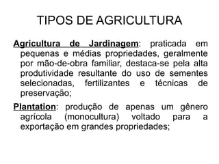 Agricultura de Subsistência : praticada em pequenas propriedades, minifúndios ou módulos rurais, com técnicas rudimentares e baixa produtividade, destinada ao consumo local; 