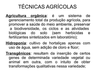 Plantation : produção de apenas um gênero agrícola (monocultura) voltado para a exportação em grandes propriedades;  