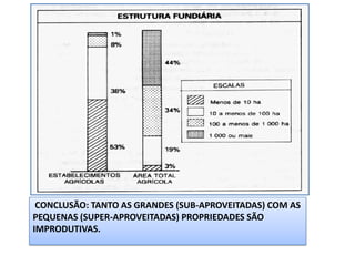 CONCLUSÃO: TANTO AS GRANDES (SUB-APROVEITADAS) COM AS
PEQUENAS (SUPER-APROVEITADAS) PROPRIEDADES SÃO
IMPRODUTIVAS.
 
