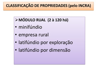 CLASSIFICAÇÃO DE PROPRIEDADES (pelo INCRA)


    MÓDULO RUAL (2 à 120 há)
    •   minifúndio
    •   empresa rural
    •   latifúndio por exploração
    •   latifúndio por dimensão
 