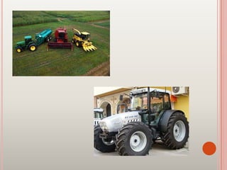 Agricultura