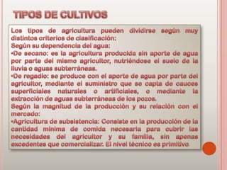Agricultura