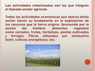 Agricultura