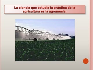 Agricultura