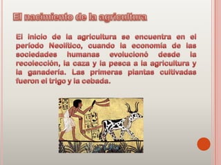 Agricultura