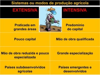 Sistemas ou modos de produção agrícola
      EXTENSIVA                    INTENSIVA


       Praticada em                 Predomínio
       grandes áreas                 do capital


       Pouco capital           Mão de obra qualificada



Mão de obra reduzida e pouco   Grande especialização
       especializada


  Países subdesenvolvidos       Países emergentes e
          agrícolas                desenvolvidos
 